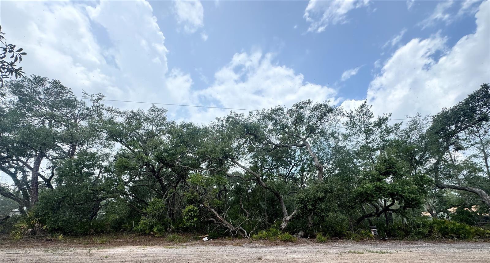 TBD SW 71ST RD, OCALA, FL
