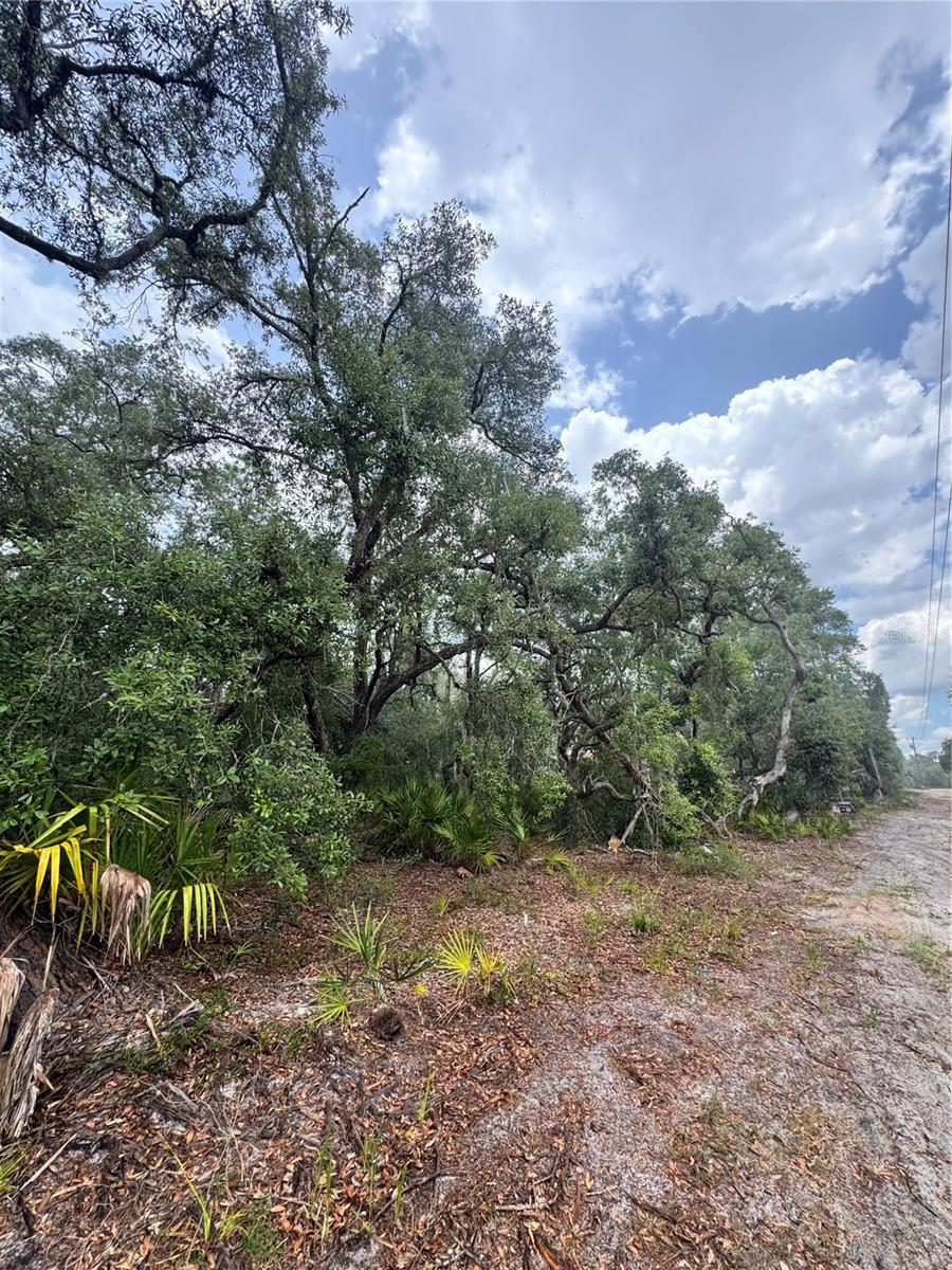 TBD SW 71ST RD, OCALA, FL — photo 2