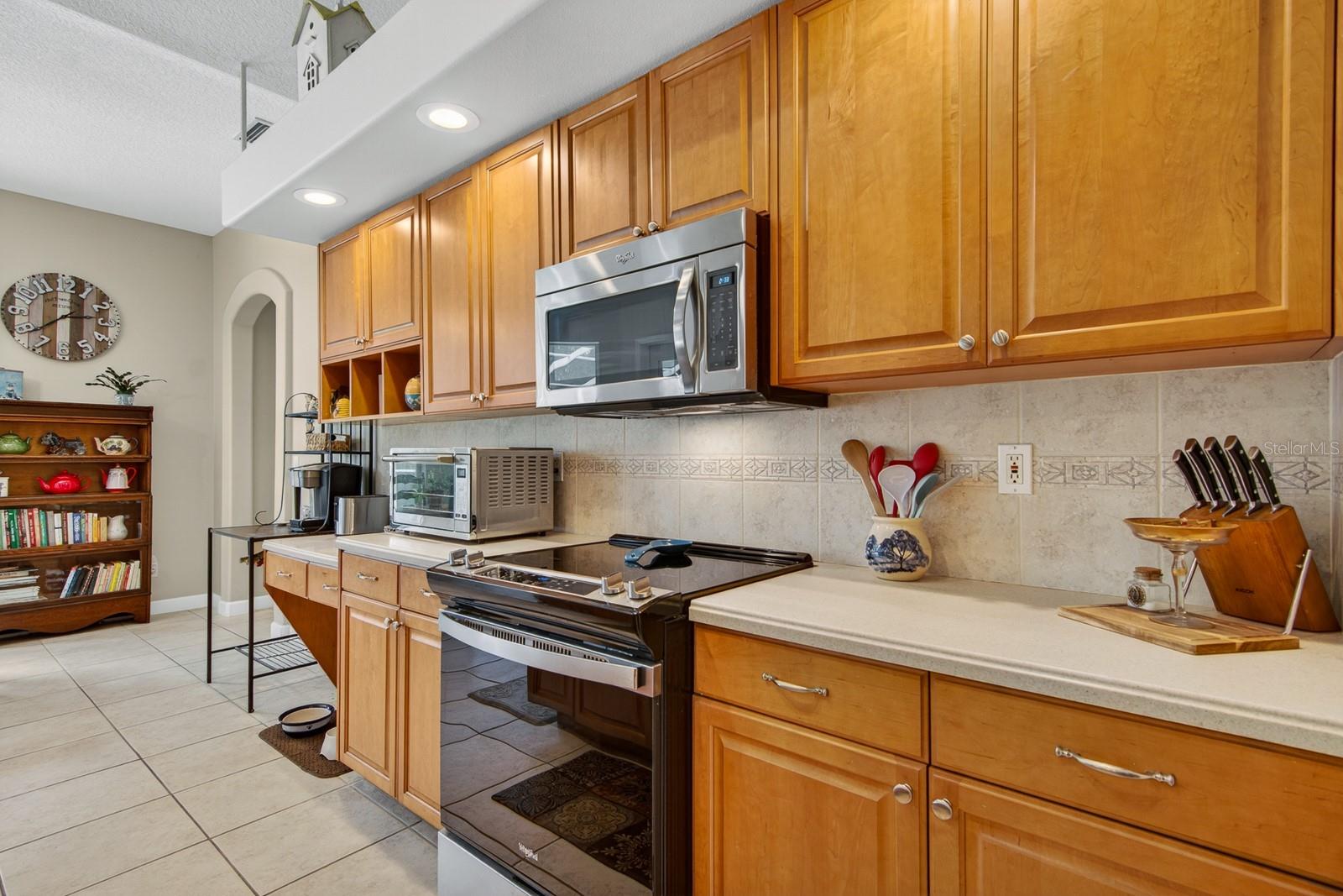 6130 BRIDLEFORD DR, WESLEY CHAPEL, FL — photo 24