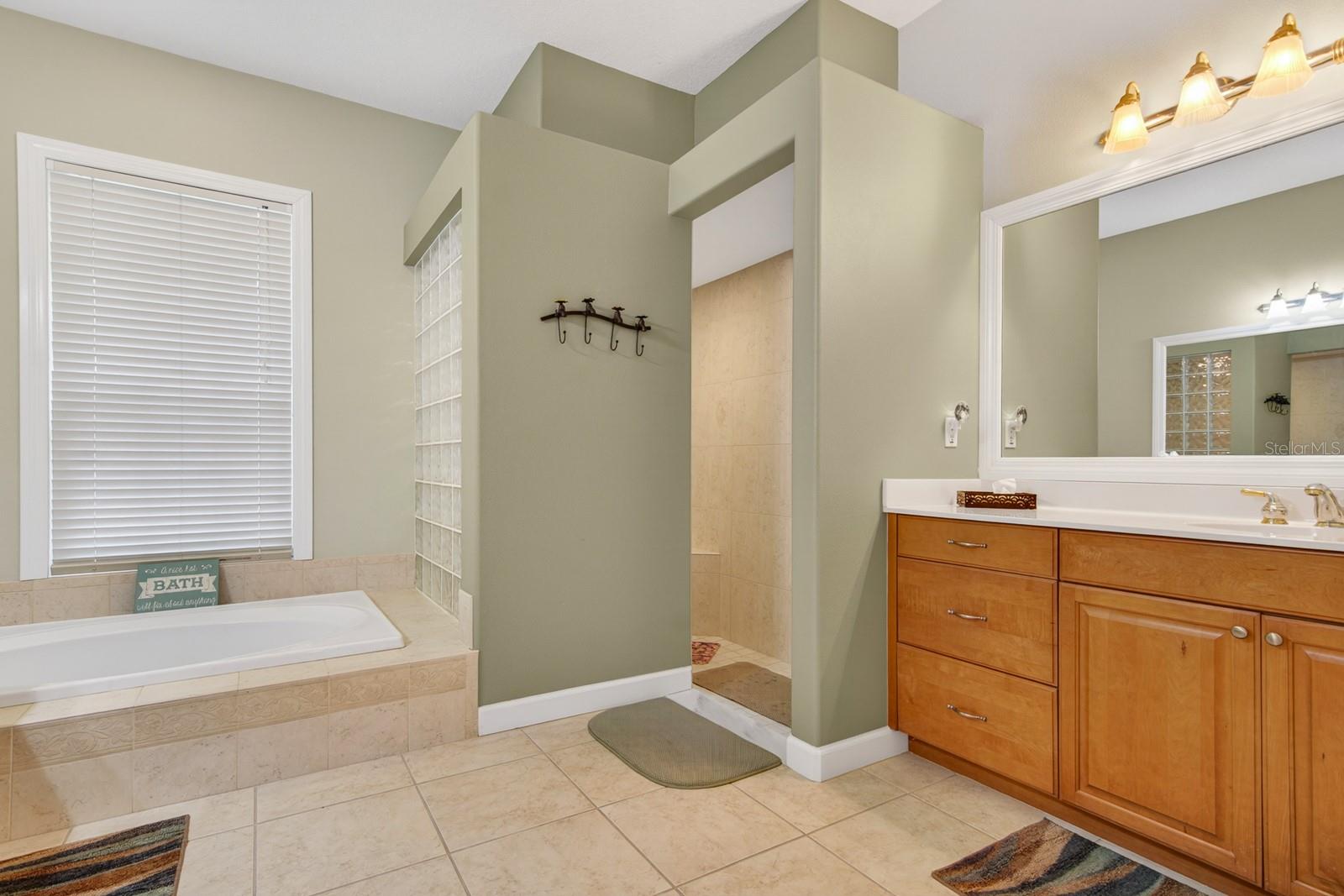 6130 BRIDLEFORD DR, WESLEY CHAPEL, FL — photo 36