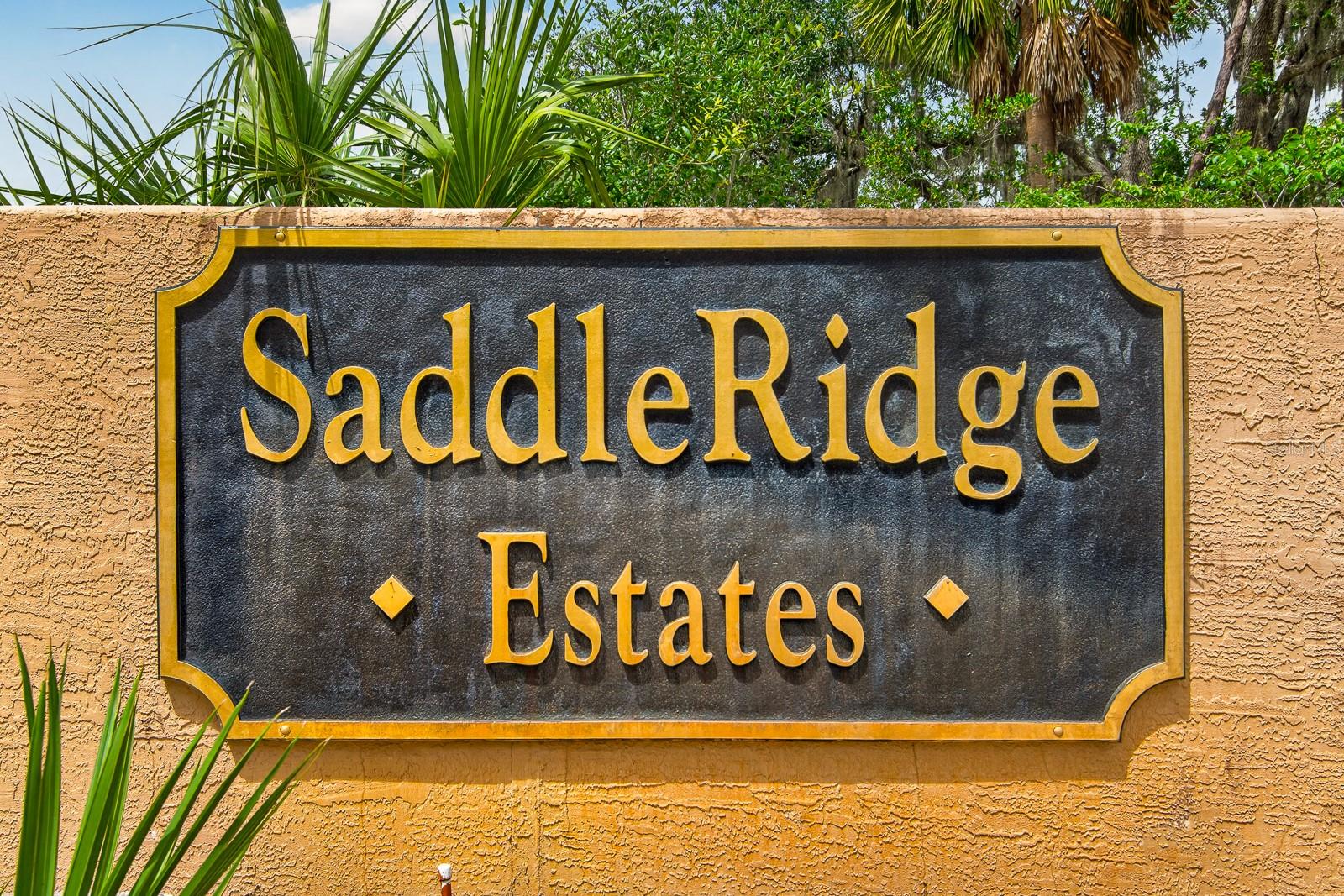 6130 BRIDLEFORD DR, WESLEY CHAPEL, FL — photo 67