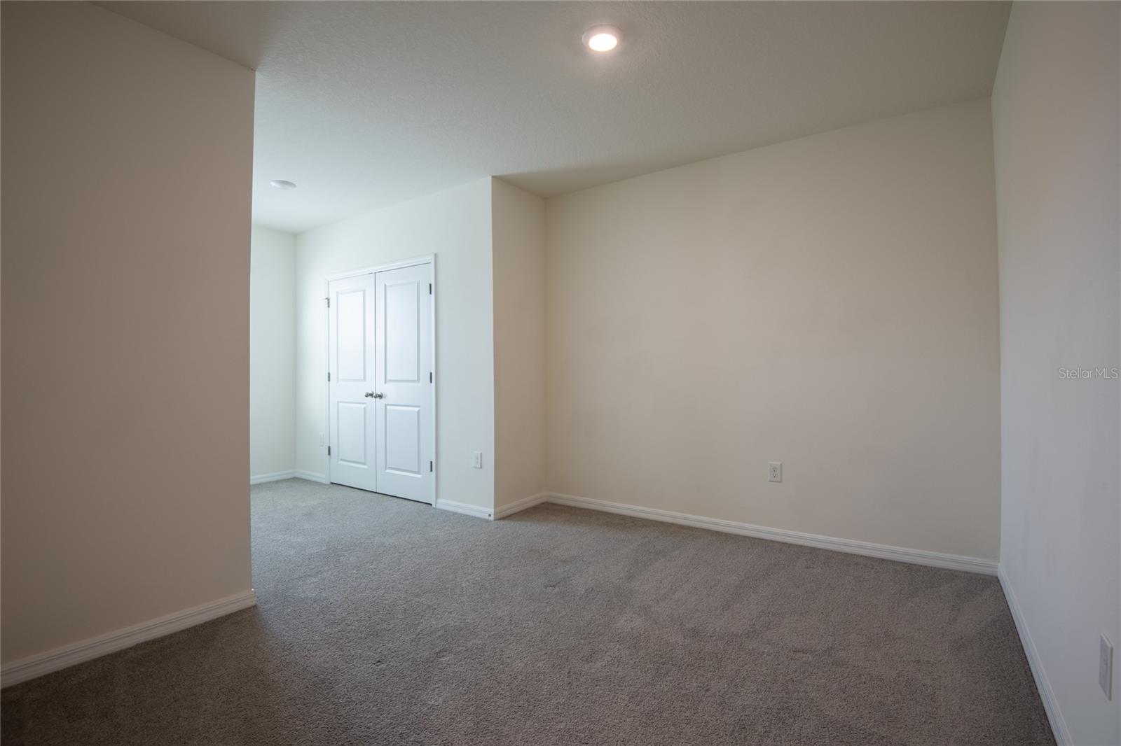 34310 REDWOOD DAWN LN, WESLEY CHAPEL, FL — photo 44