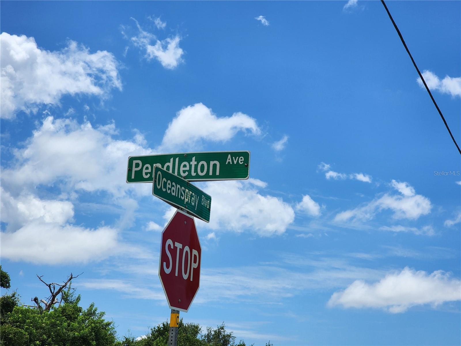 11256 PENDLETON AVE, ENGLEWOOD, FL — photo 4