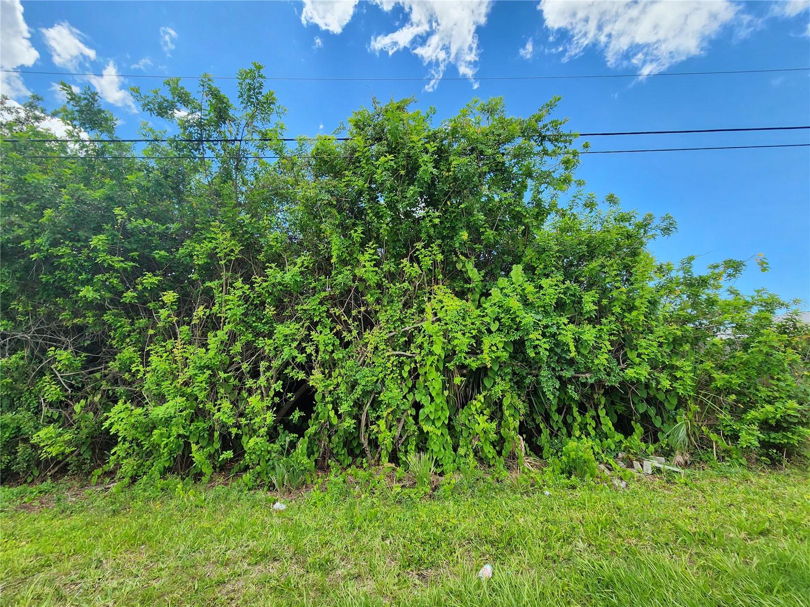 11256 PENDLETON AVE, ENGLEWOOD, FL — photo 9