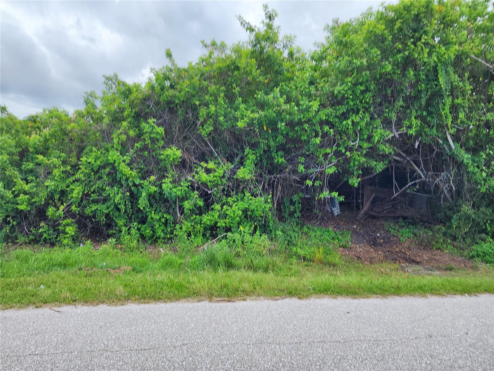 11256 PENDLETON AVE, ENGLEWOOD, FL — photo 12