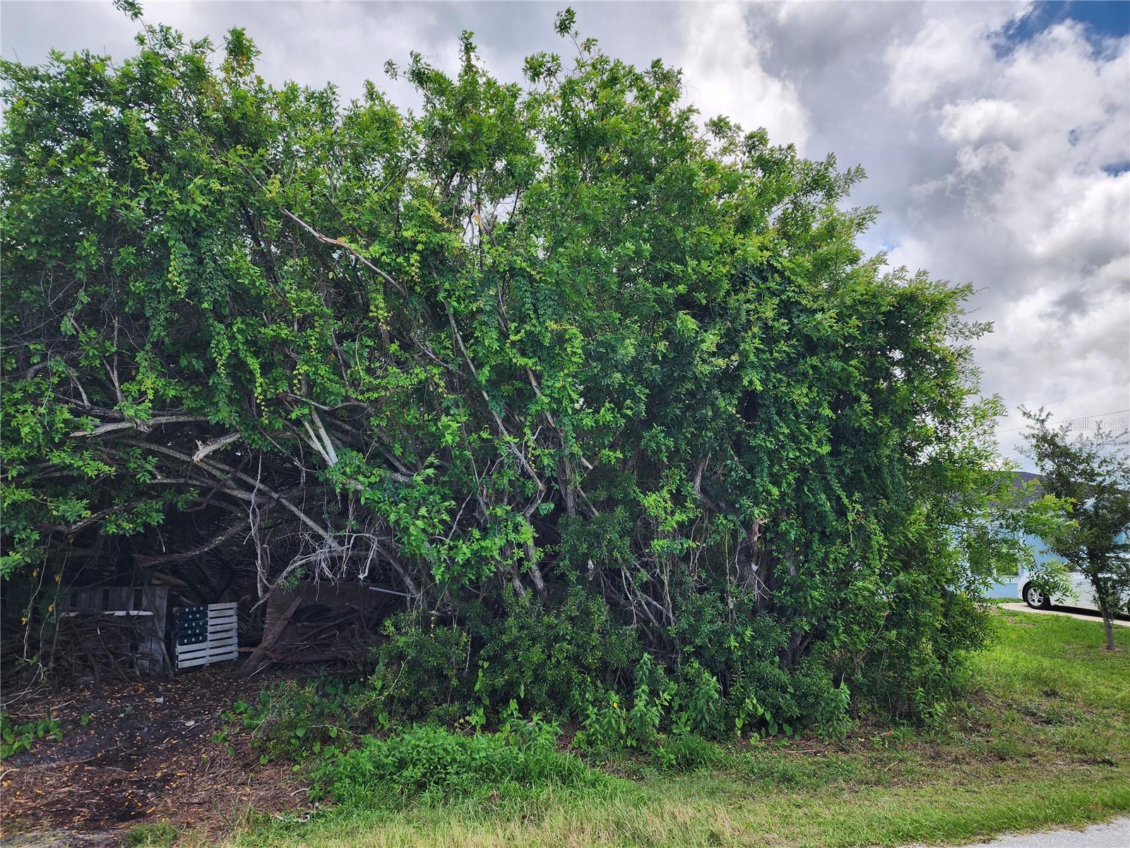 11256 PENDLETON AVE, ENGLEWOOD, FL — photo 15