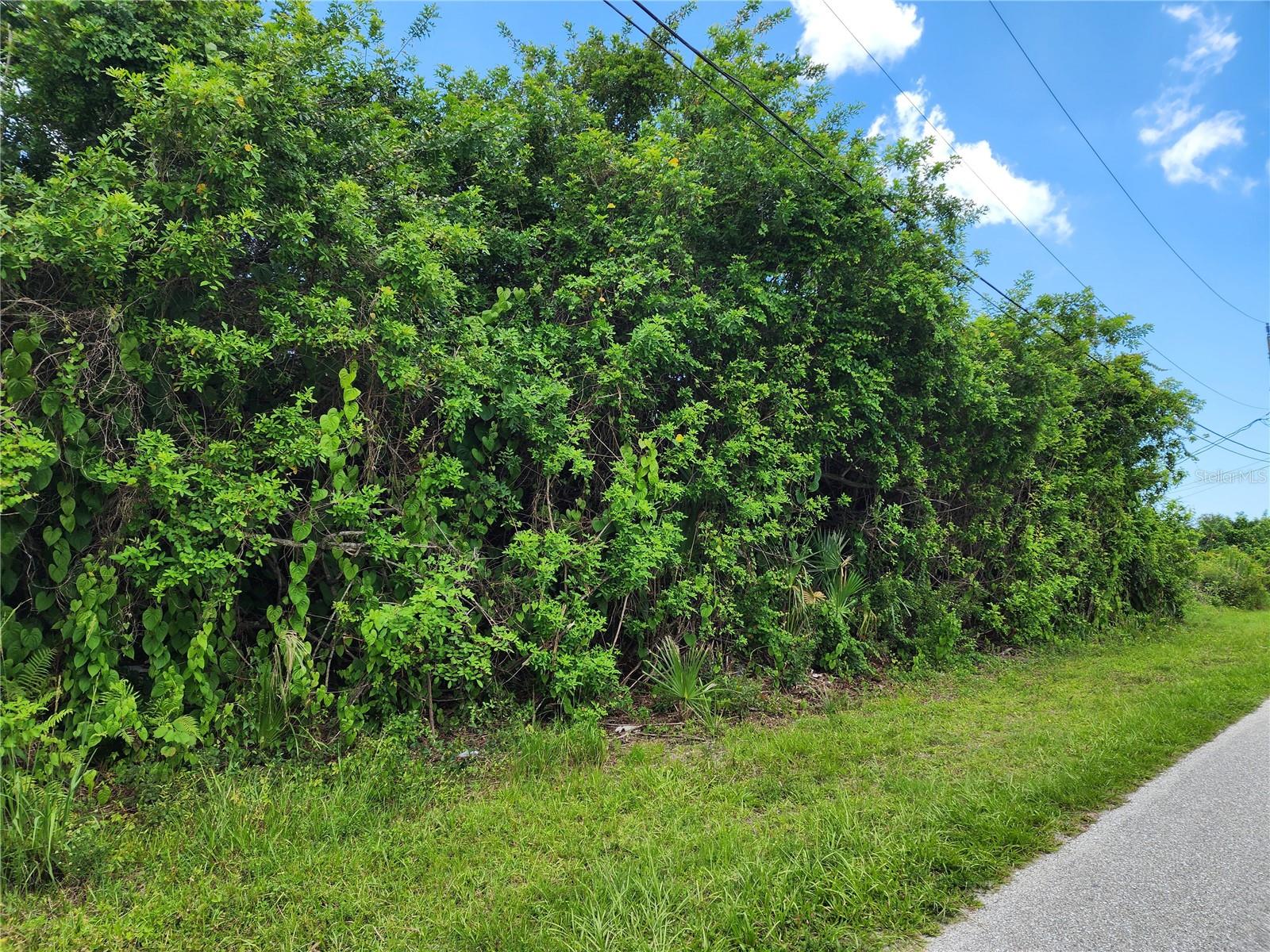 11256 PENDLETON AVE, ENGLEWOOD, FL — photo 23