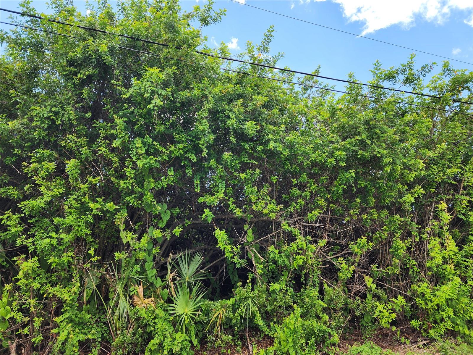 11256 PENDLETON AVE, ENGLEWOOD, FL — photo 24