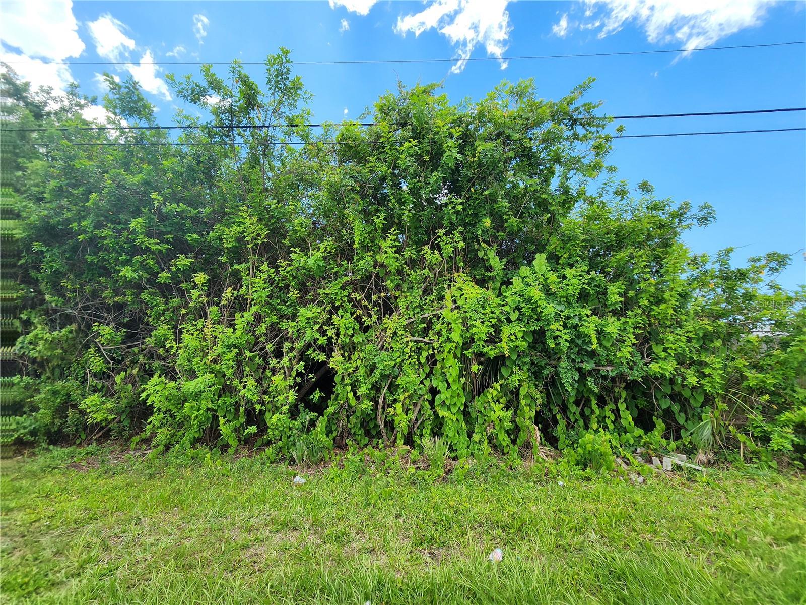 11256 PENDLETON AVE, ENGLEWOOD, FL — photo 26