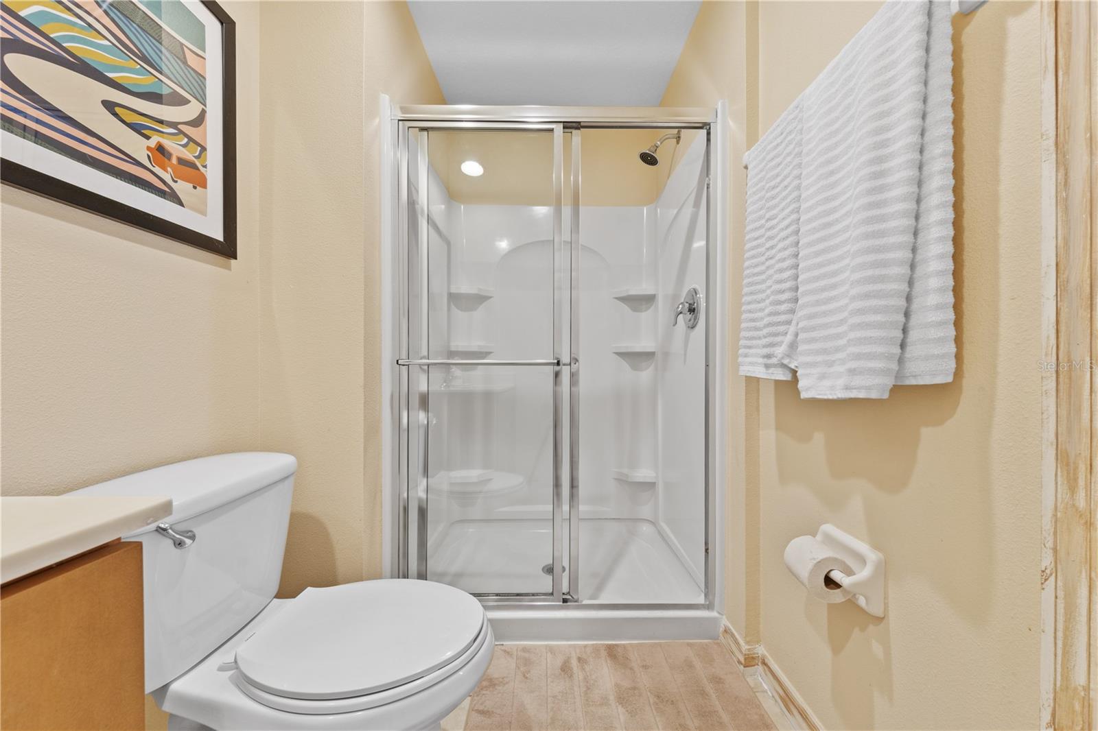 3003 BIRD OF PARADISE LN, KISSIMMEE, FL — photo 35