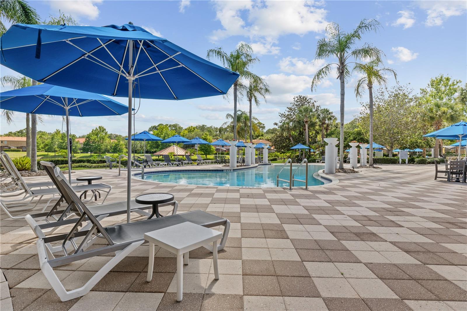 3003 BIRD OF PARADISE LN, KISSIMMEE, FL — photo 53