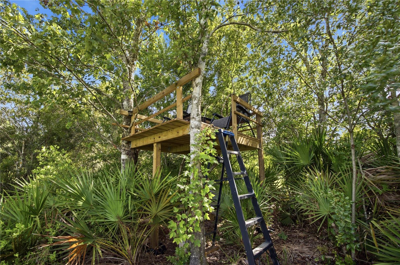 26644 EASY ST, WESLEY CHAPEL, FL — photo 53