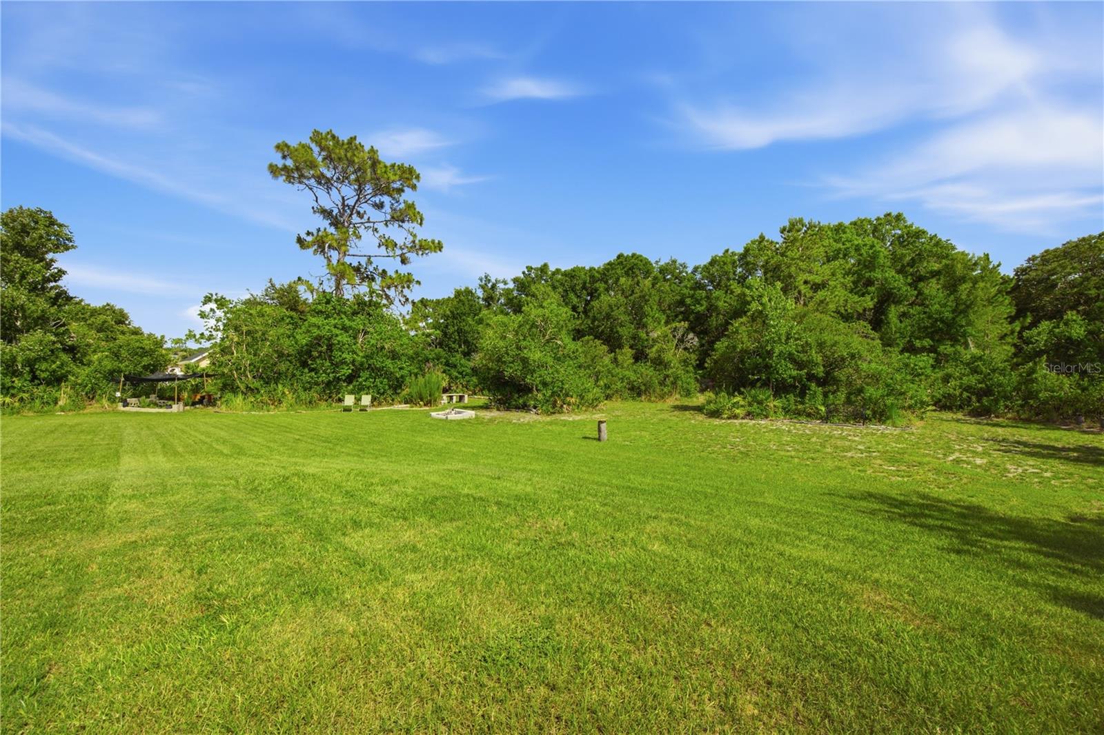 26644 EASY ST, WESLEY CHAPEL, FL — photo 54