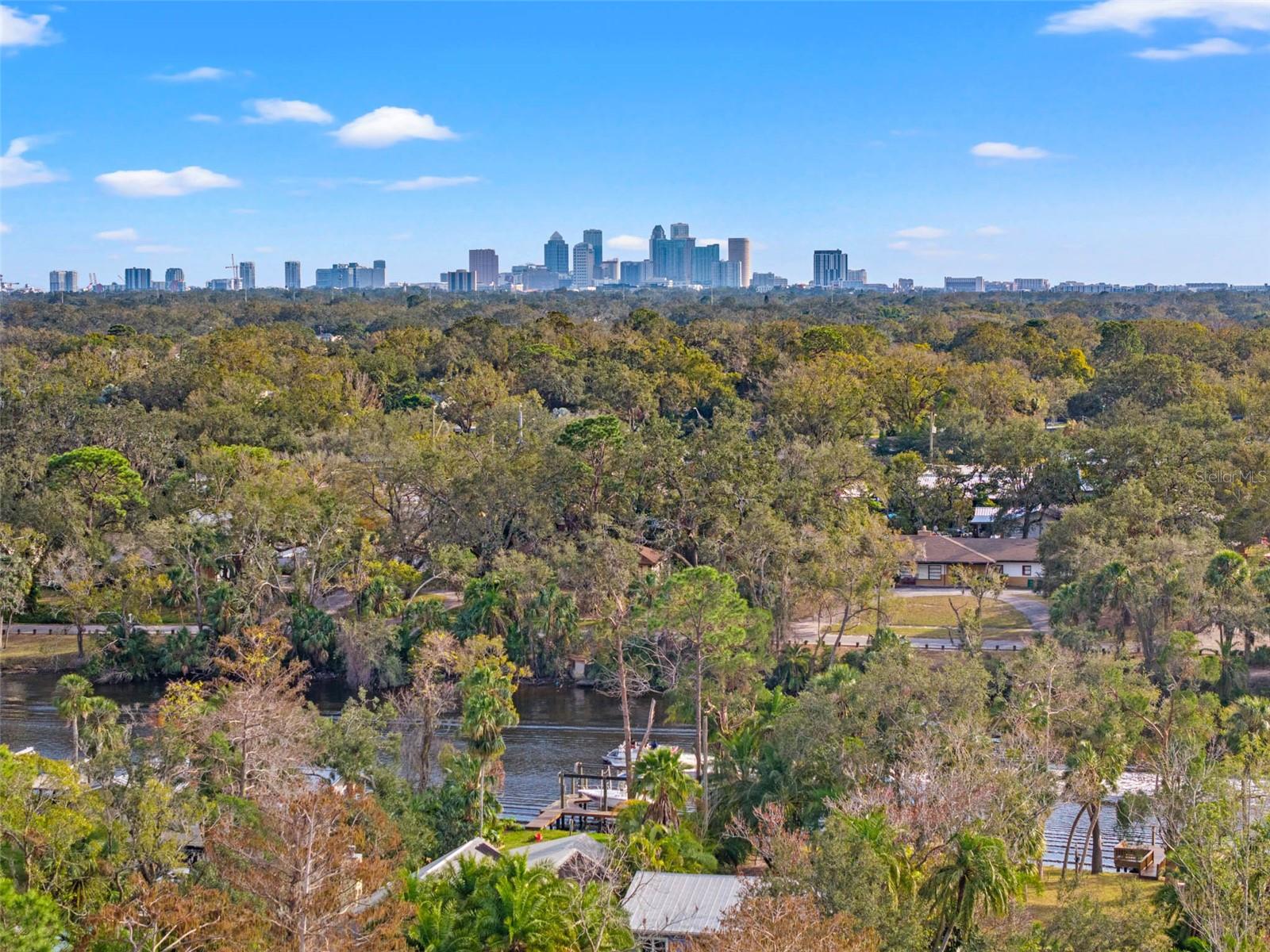 906 W HENRY AVE, TAMPA, FL — photo 94