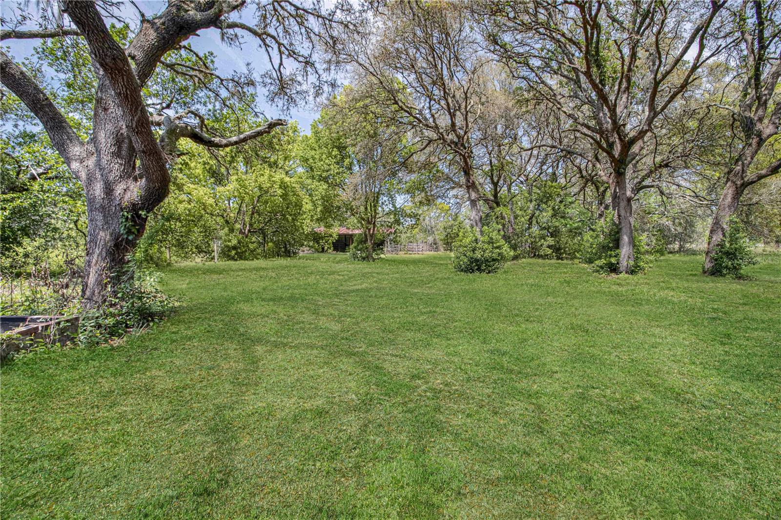 8225 E HIGHWAY 25, BELLEVIEW, FL — photo 43