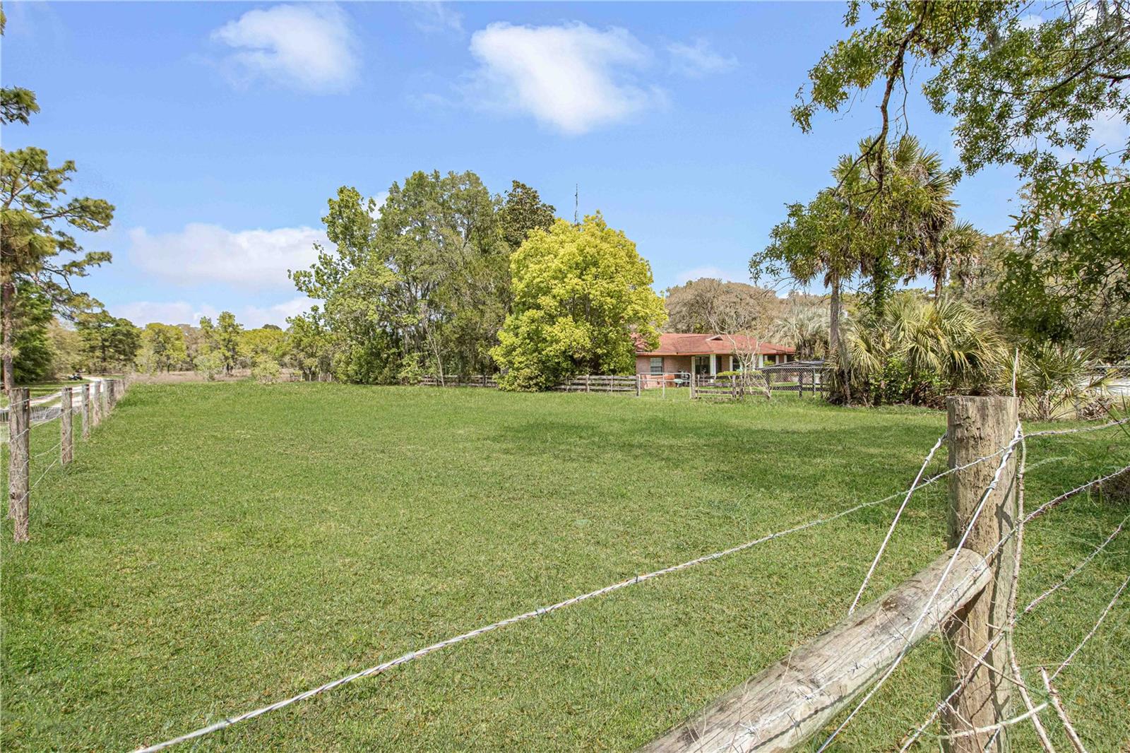 8225 E HIGHWAY 25, BELLEVIEW, FL — photo 65