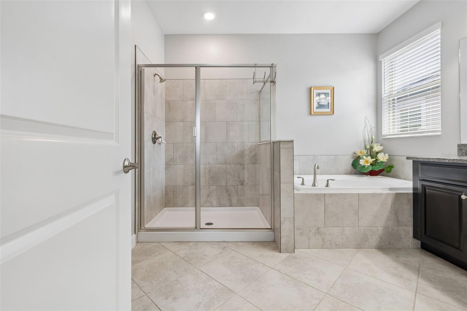 9908 SAGE CREEK DR, RUSKIN, FL — photo 13