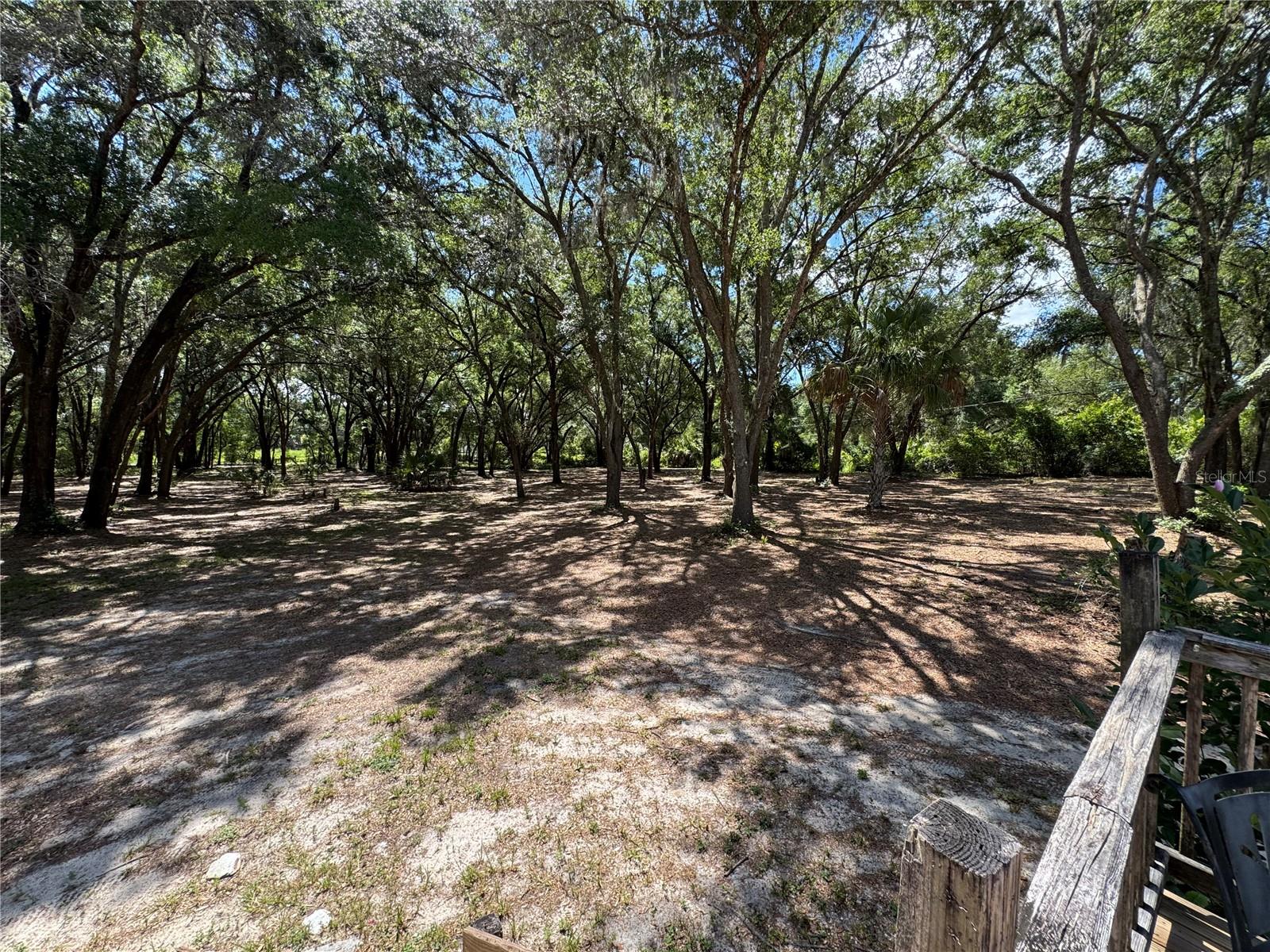 10645 SE 145TH ST, SUMMERFIELD, FL — photo 2