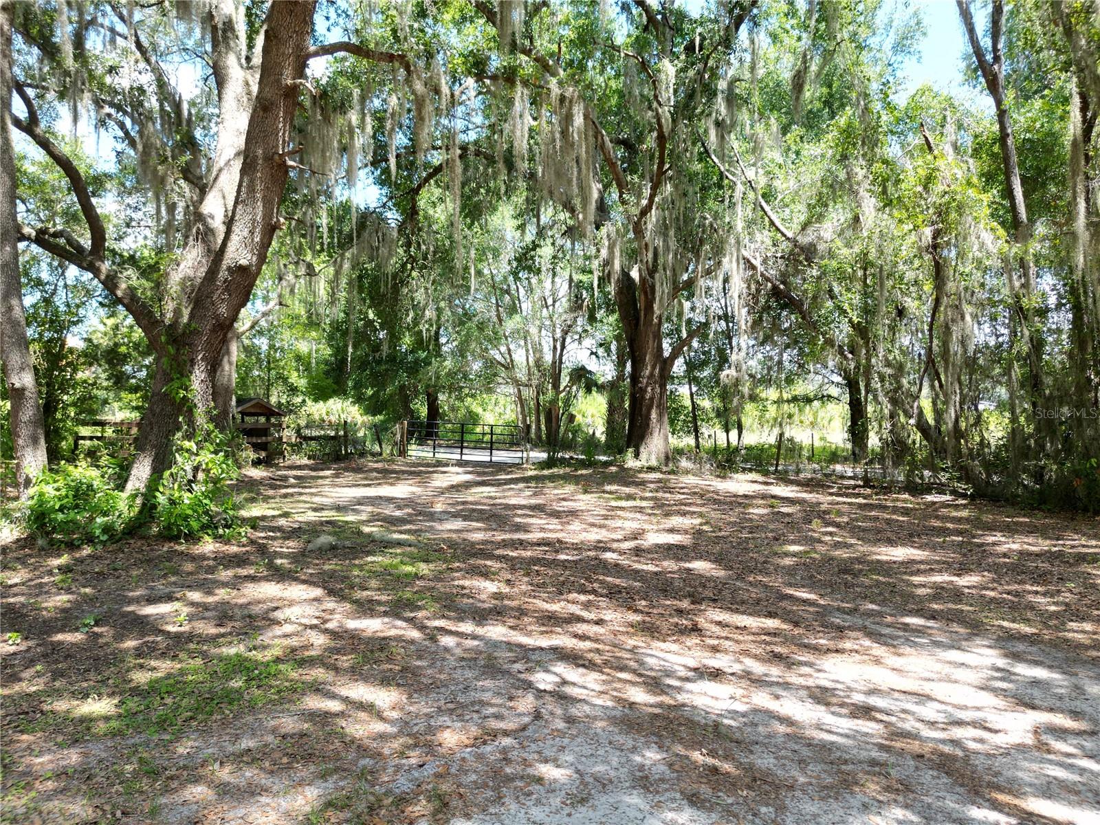 10645 SE 145TH ST, SUMMERFIELD, FL — photo 27