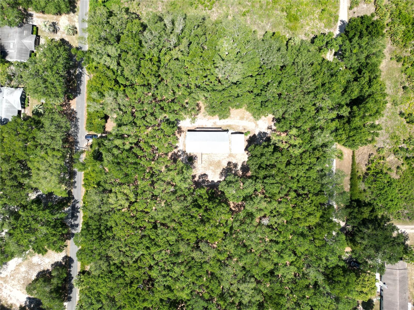 10645 SE 145TH ST, SUMMERFIELD, FL — photo 29