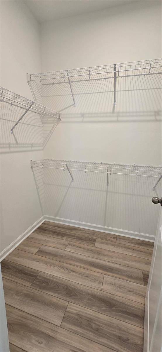 12914 PROMISE PL, ORLANDO, FL — photo 19