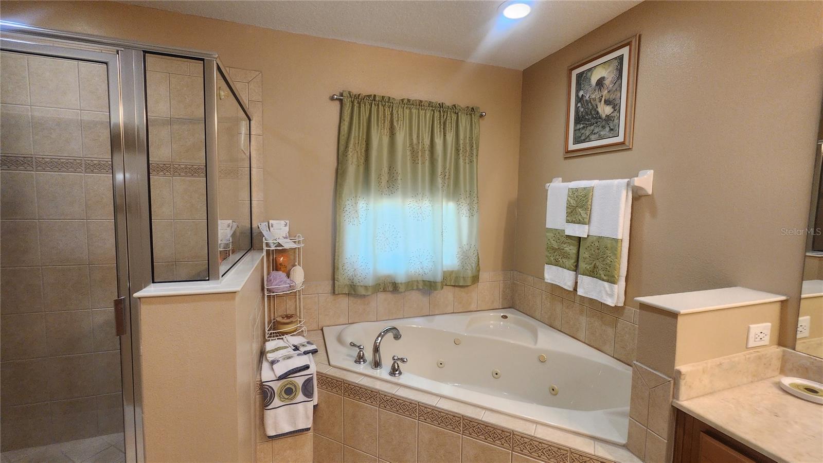 1915 ACACIA DR, KISSIMMEE, FL — photo 33