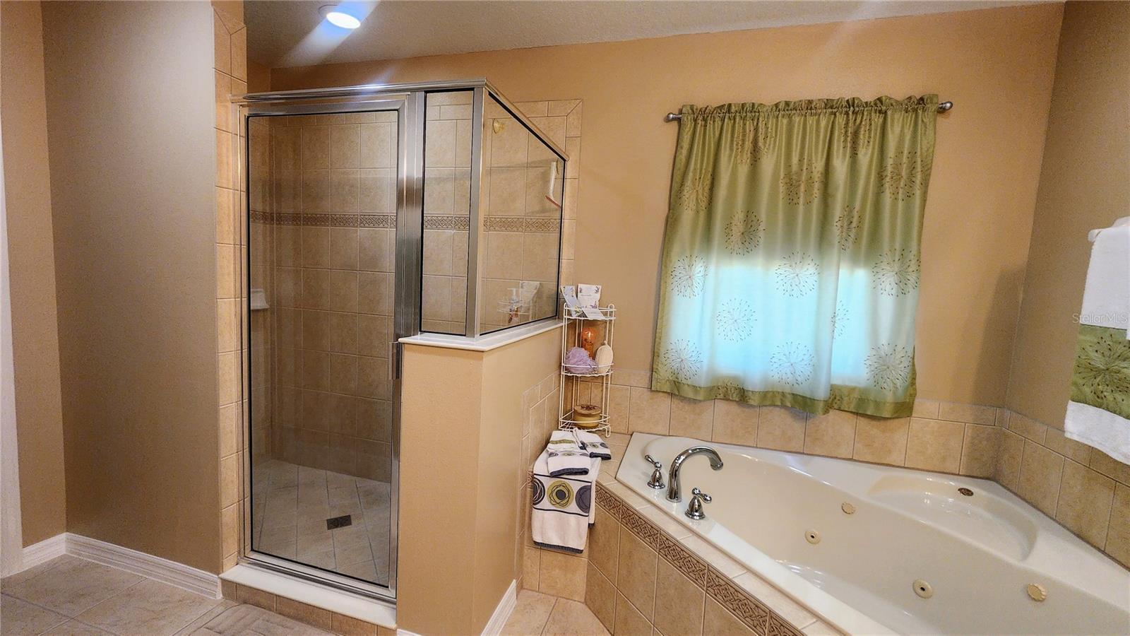 1915 ACACIA DR, KISSIMMEE, FL — photo 34