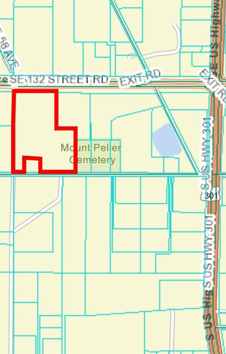 SE 132ND ST, SUMMERFIELD, FL