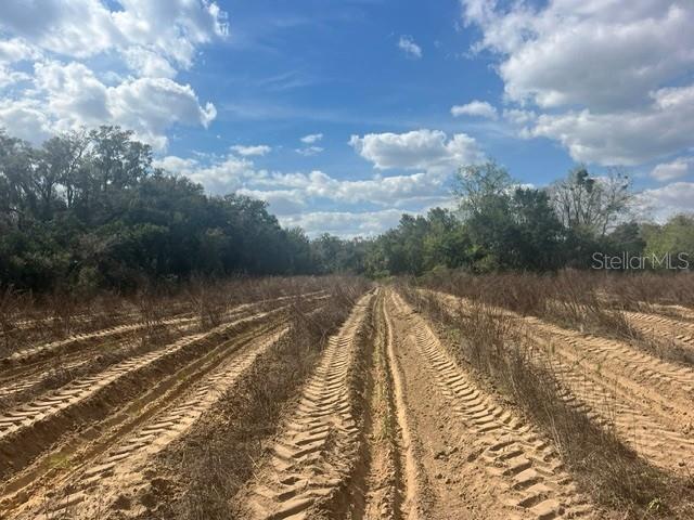 SE 132ND ST, SUMMERFIELD, FL — photo 3