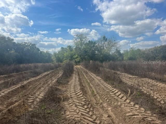 SE 132ND ST, SUMMERFIELD, FL — photo 4