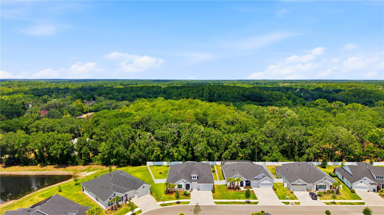 7530 ASHBROOKE PINE LOOP, ODESSA, FL — photo 38