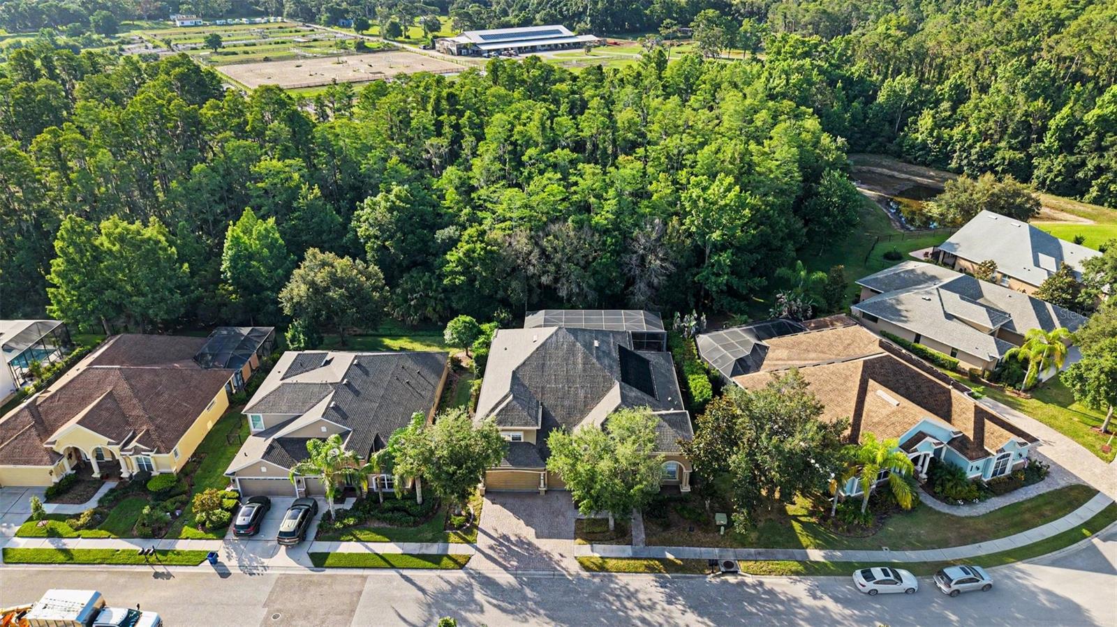14906 MAN O WAR DR, ODESSA, FL — photo 42