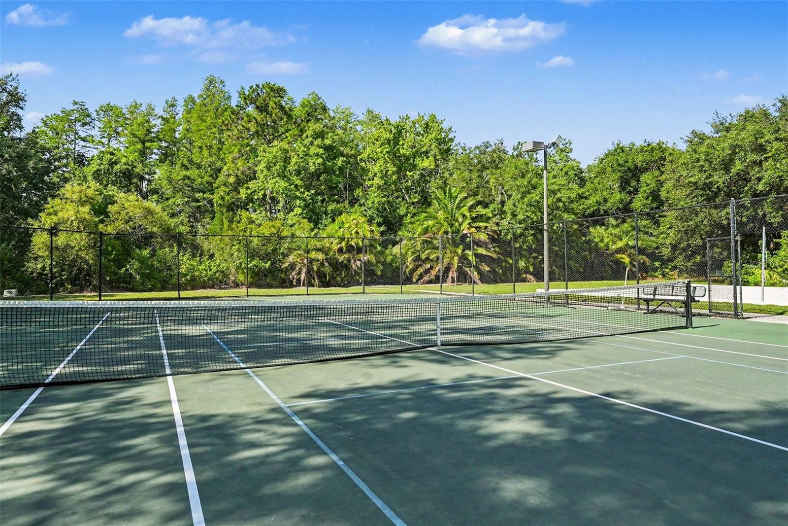 14906 MAN O WAR DR, ODESSA, FL — photo 45
