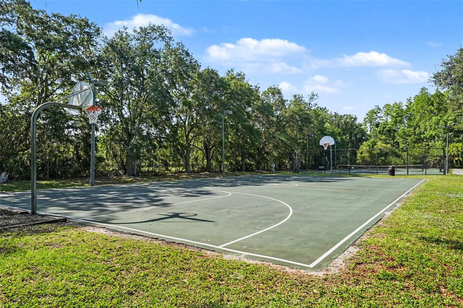 14906 MAN O WAR DR, ODESSA, FL — photo 46