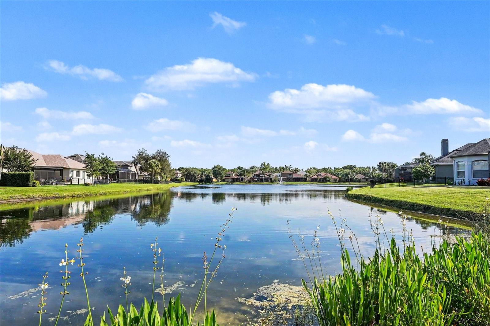 14906 MAN O WAR DR, ODESSA, FL — photo 48