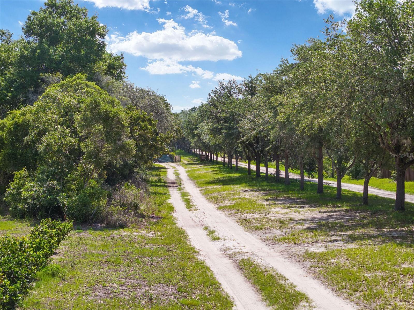 17171 SW 17TH CIR, OCALA, FL — photo 3