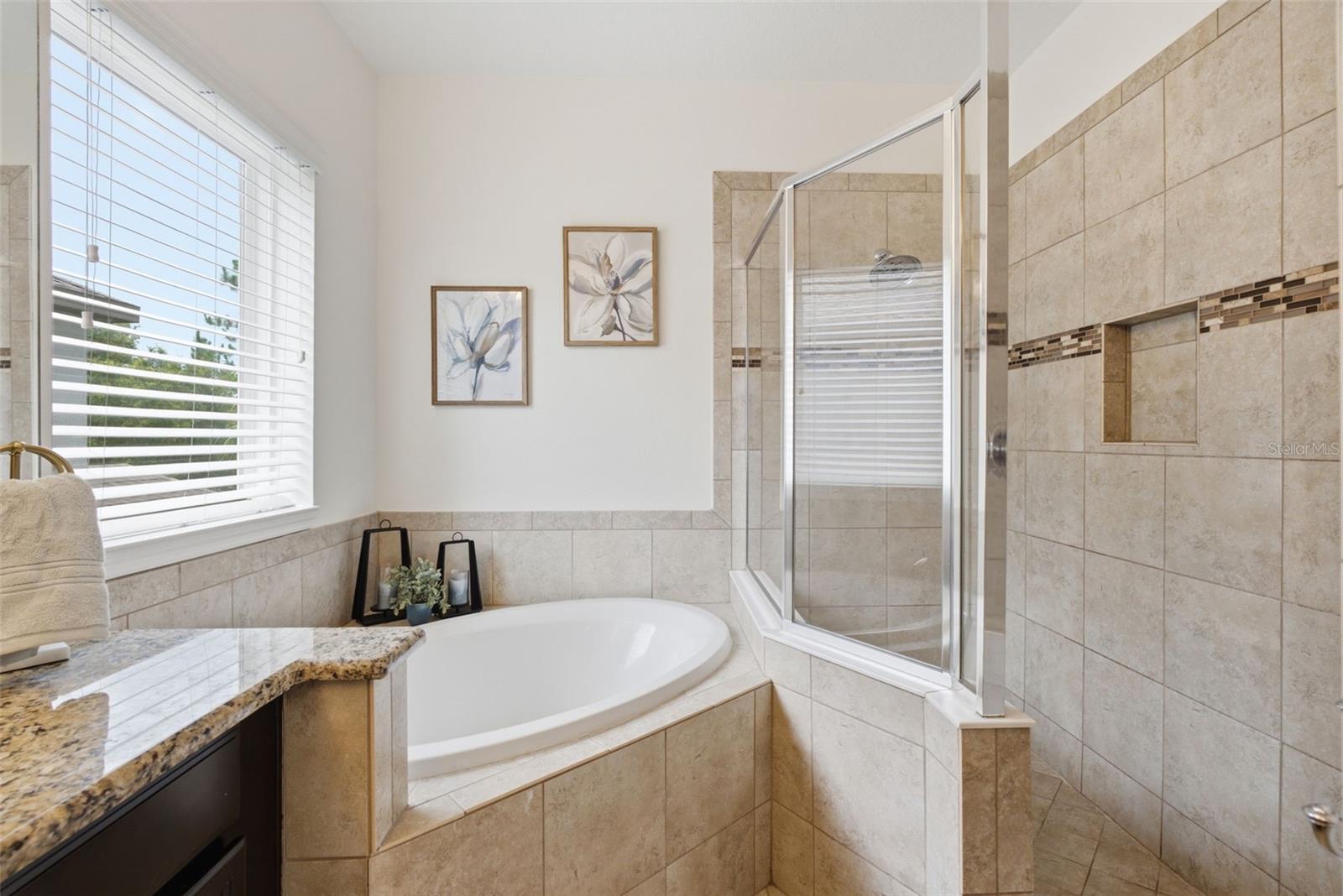 9323 BELLA VITA CIR, LAND O LAKES, FL — photo 41
