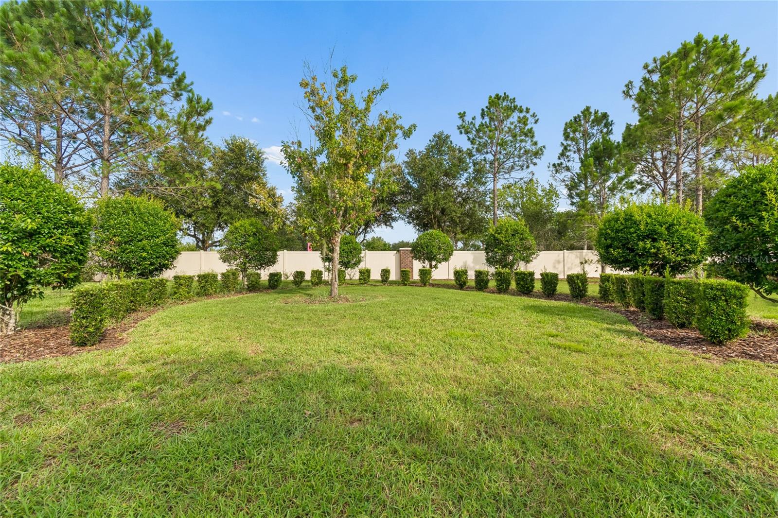 9323 BELLA VITA CIR, LAND O LAKES, FL — photo 68