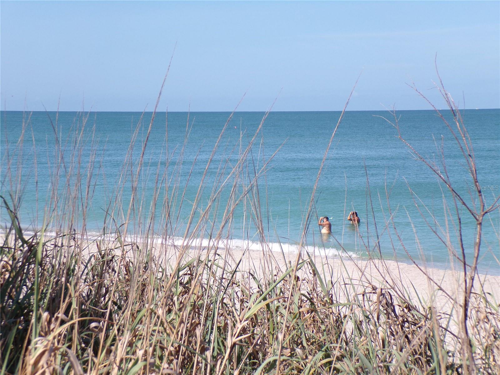 1124 SUNSET DR, VENICE, FL — photo 25