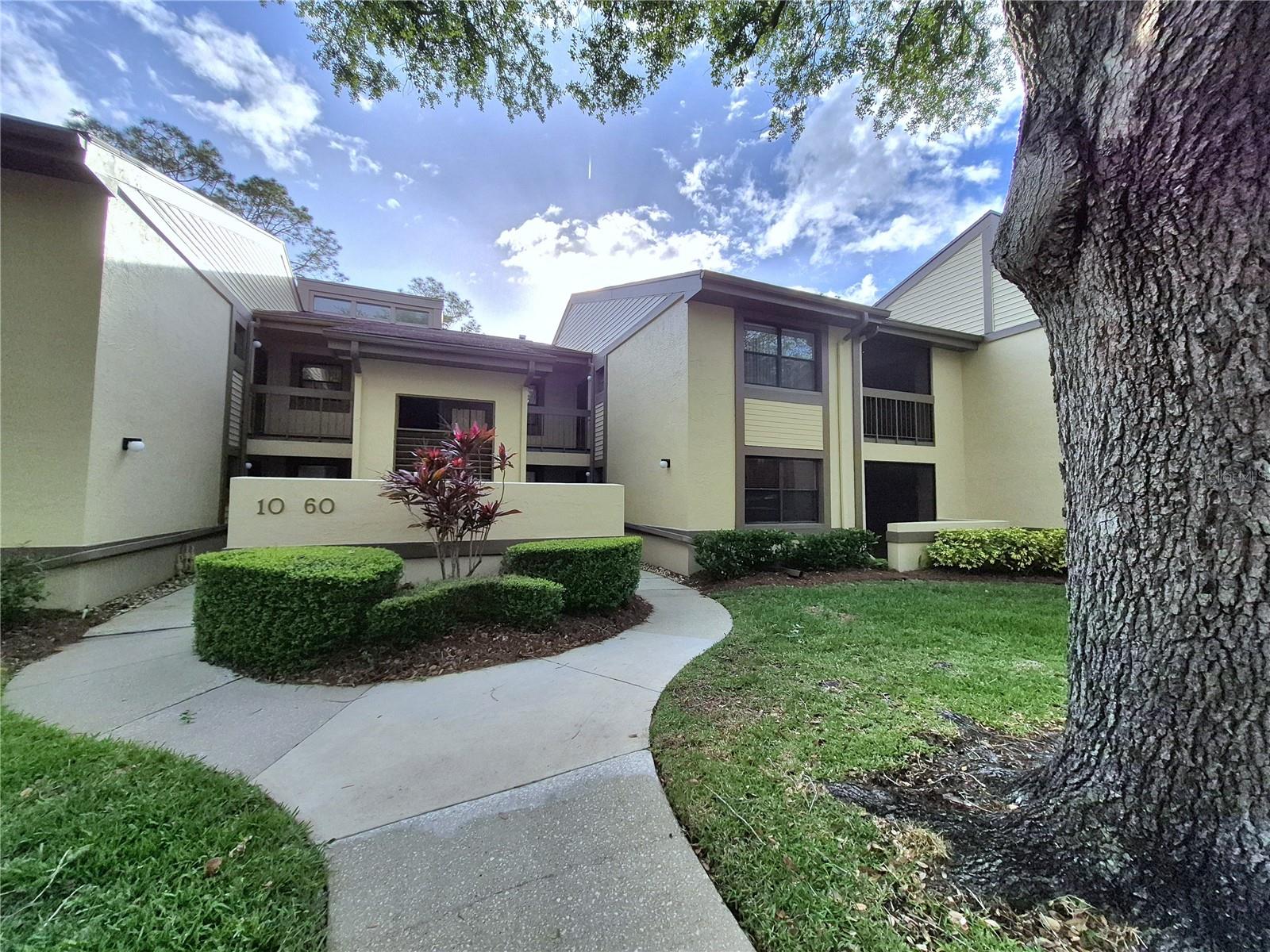50 WOODLAKE PL #50, OLDSMAR, FL — photo 3