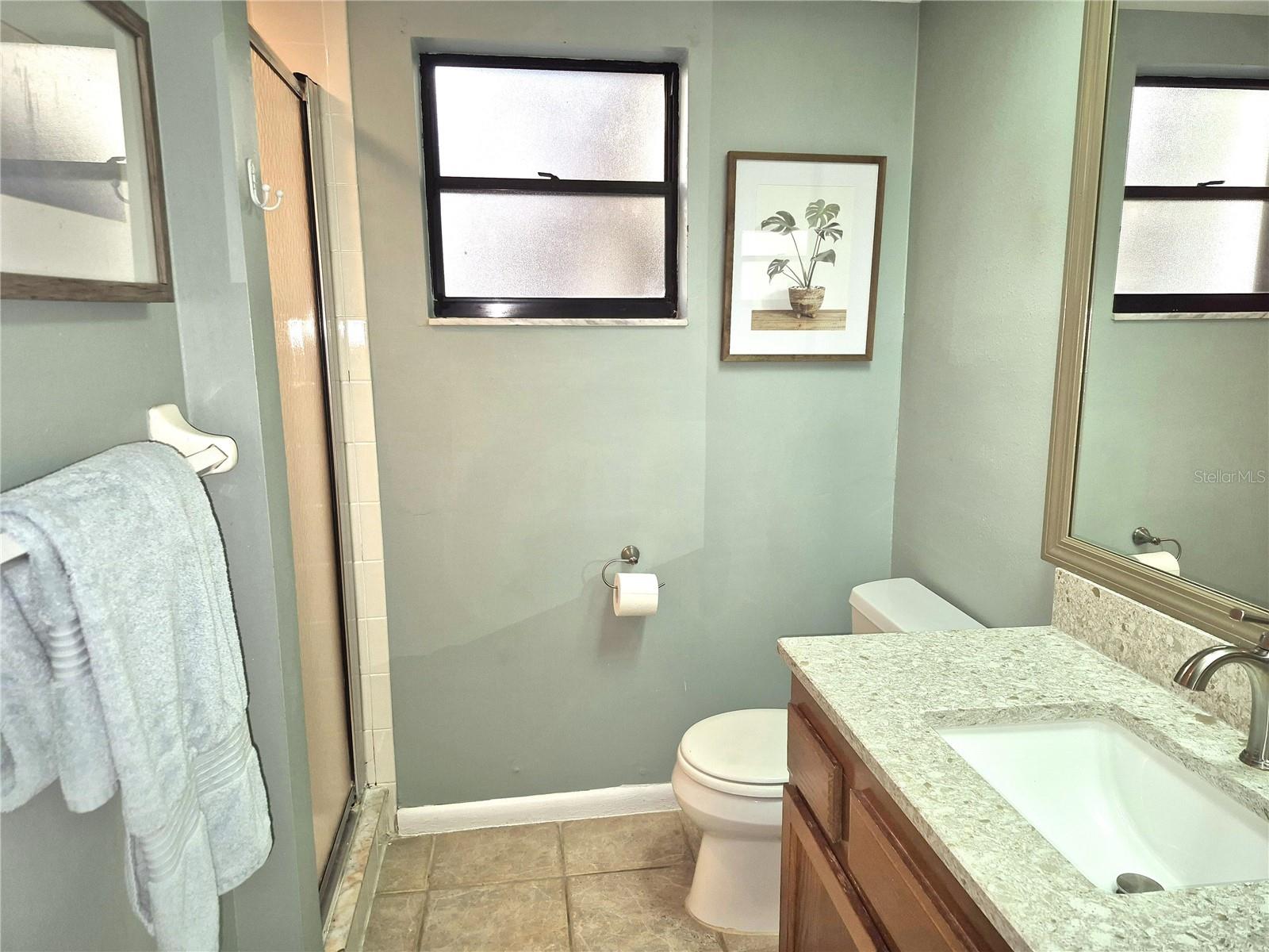 50 WOODLAKE PL #50, OLDSMAR, FL — photo 31