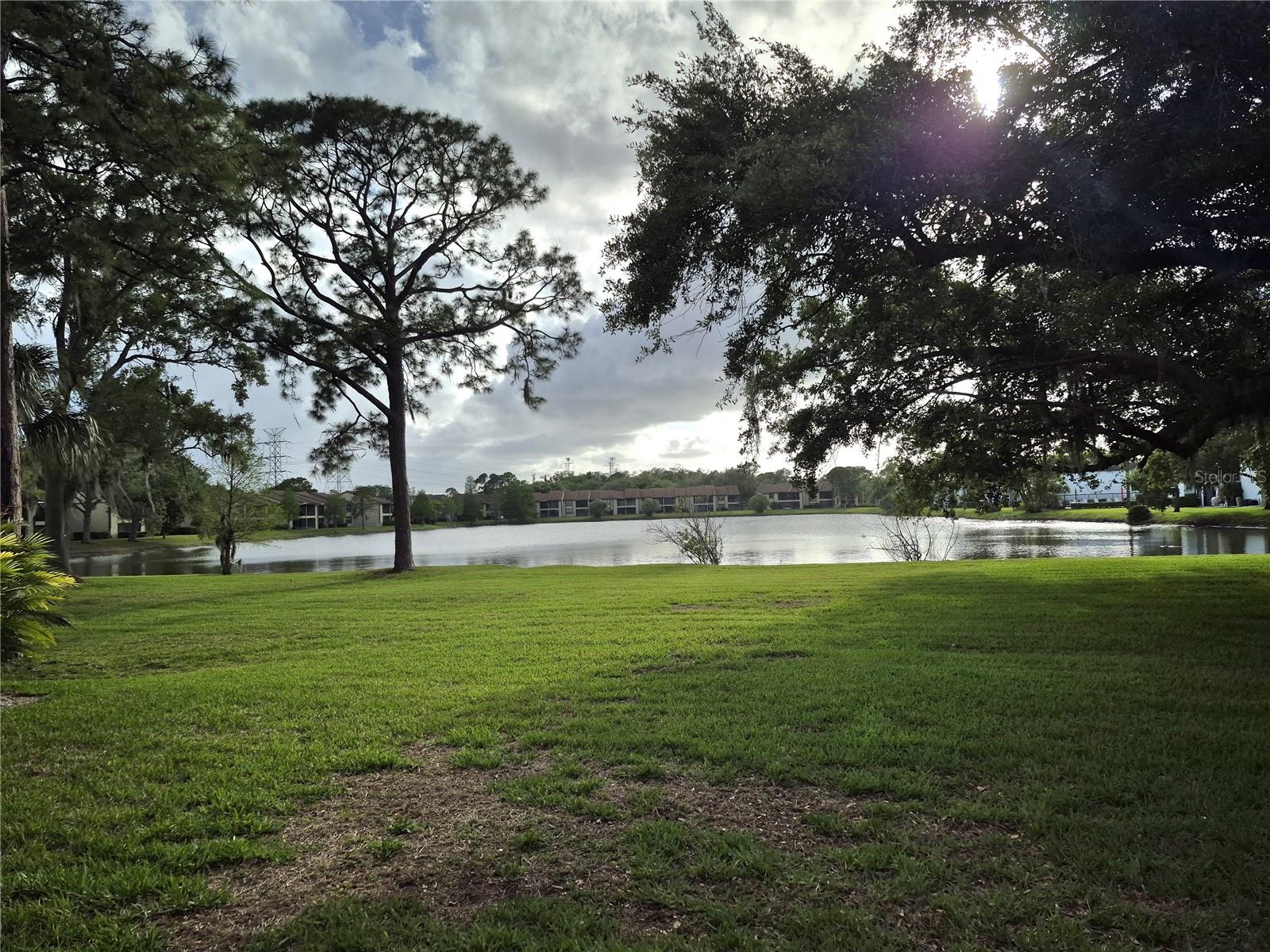 50 WOODLAKE PL #50, OLDSMAR, FL — photo 36
