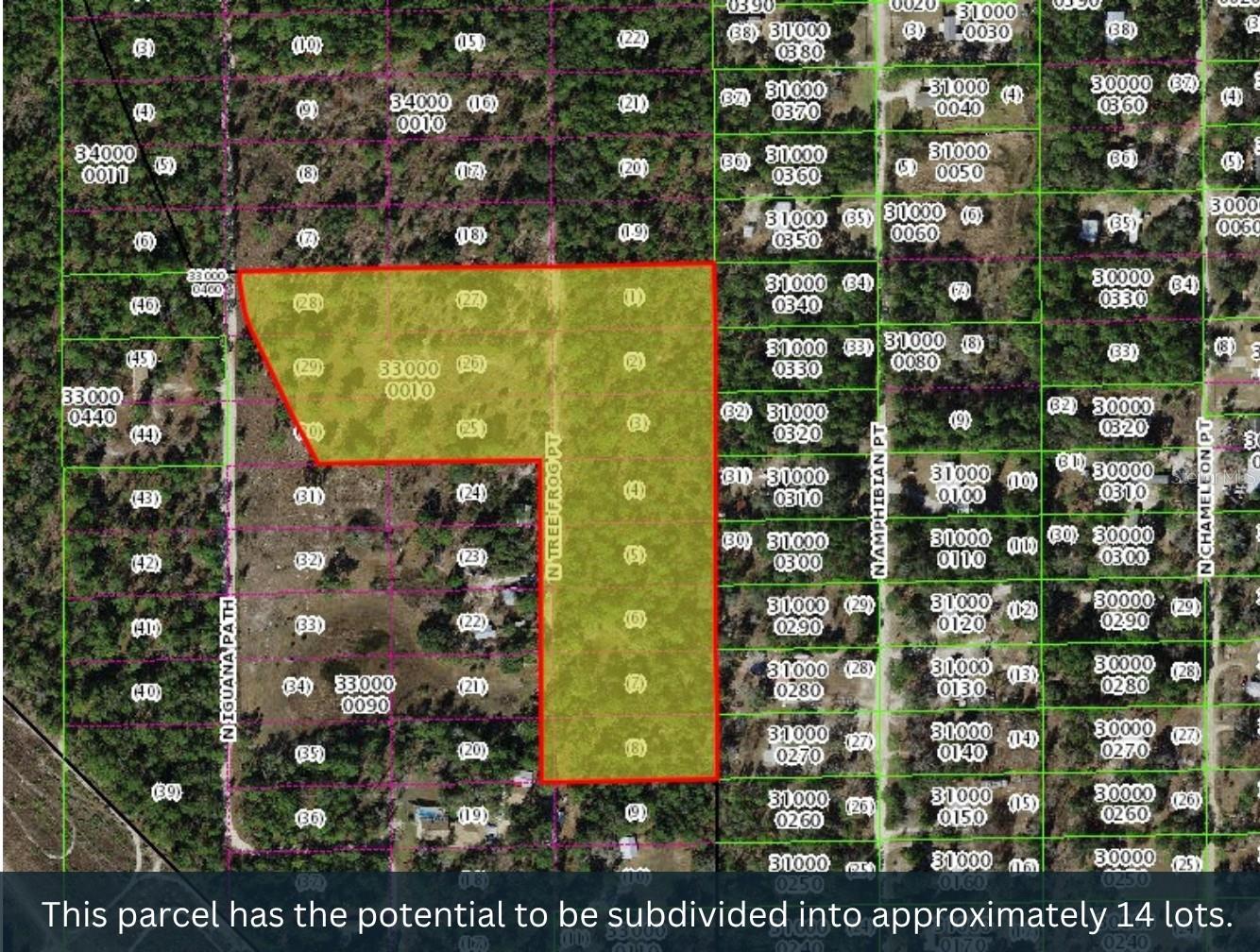 3476 N IGUANA PATH, CRYSTAL RIVER, FL — photo 10