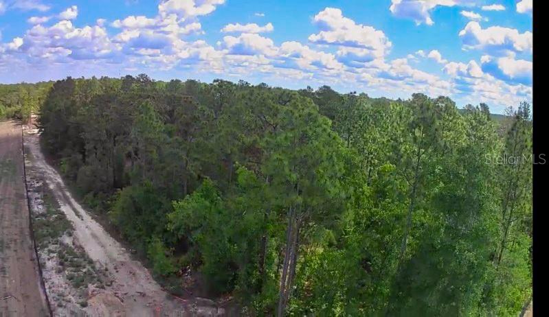 3476 N IGUANA PATH, CRYSTAL RIVER, FL — photo 14