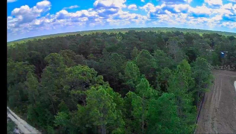 3476 N IGUANA PATH, CRYSTAL RIVER, FL — photo 17