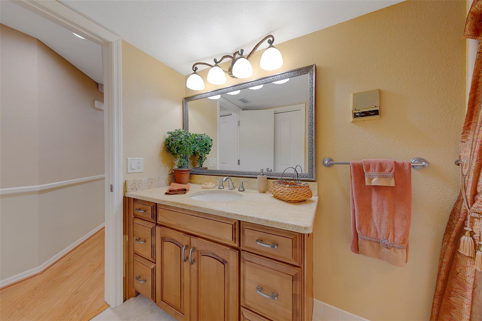2943 WHISPER LN N, CLEARWATER, FL — photo 47