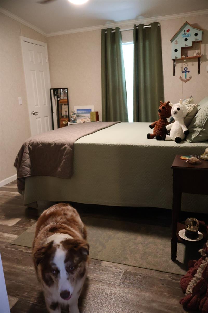 9028 WEST ST, BROOKSVILLE, FL — photo 14