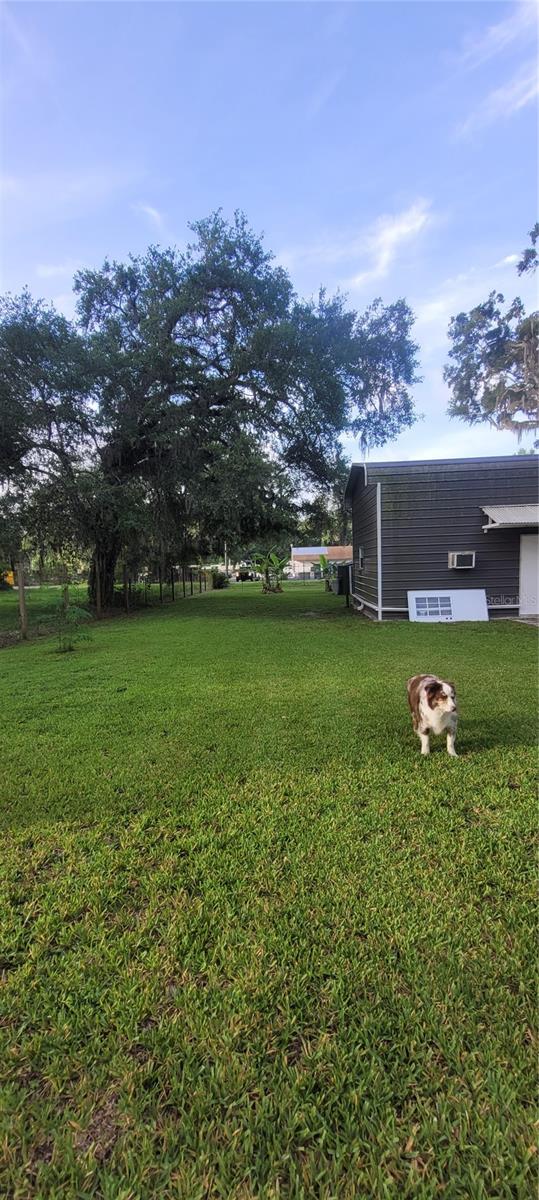 9028 WEST ST, BROOKSVILLE, FL — photo 20