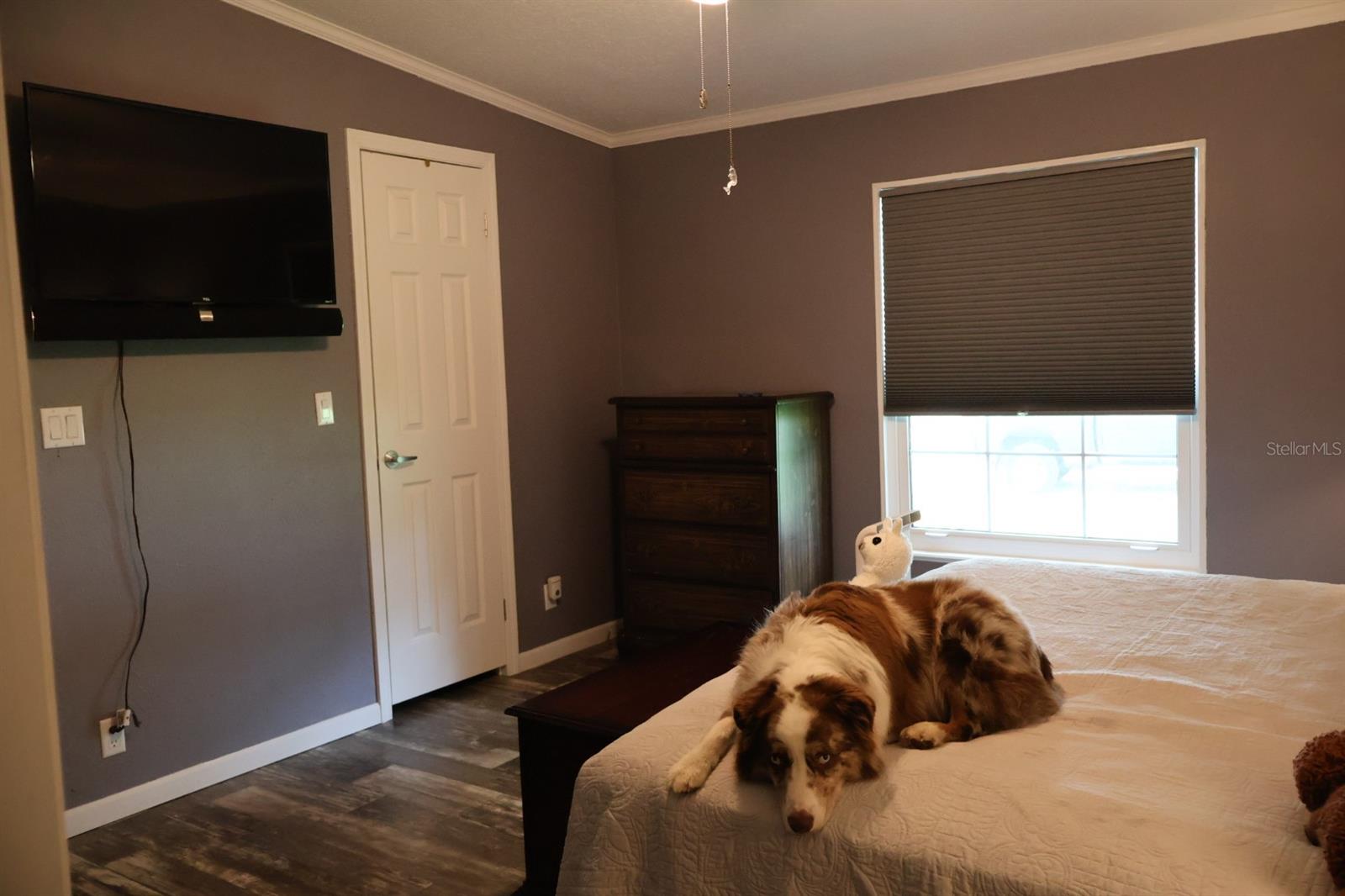 9028 WEST ST, BROOKSVILLE, FL — photo 24
