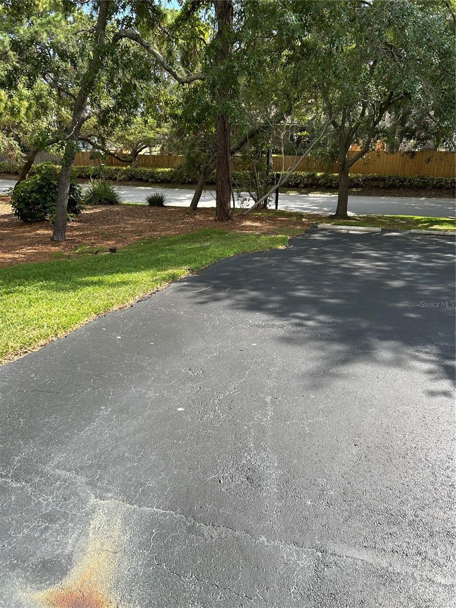 1505 LENNOX RD E #1505, PALM HARBOR, FL — photo 2